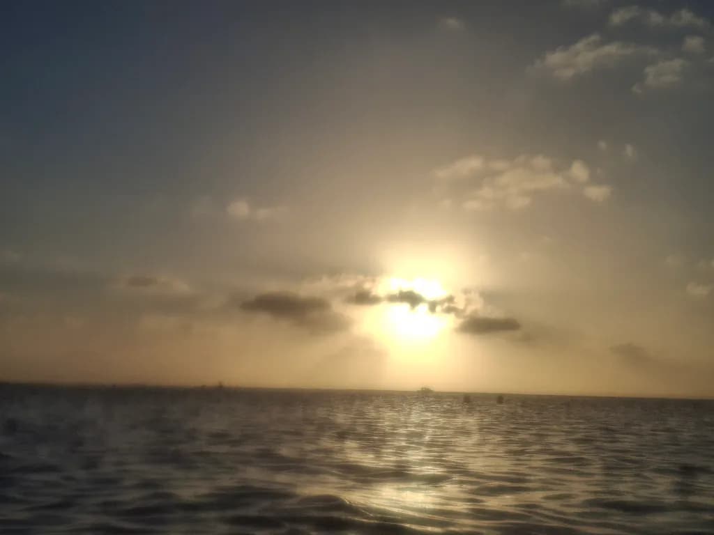 Golden Horizon