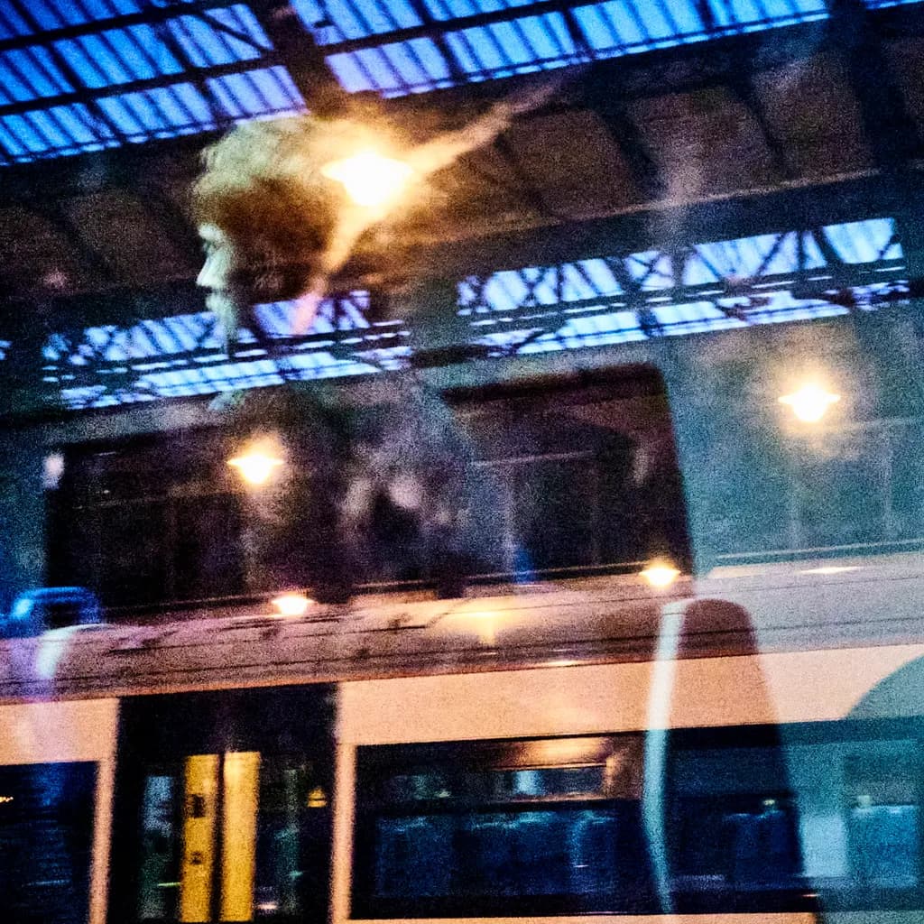 Reflected Journey