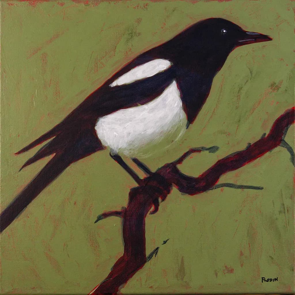 Magpie 1