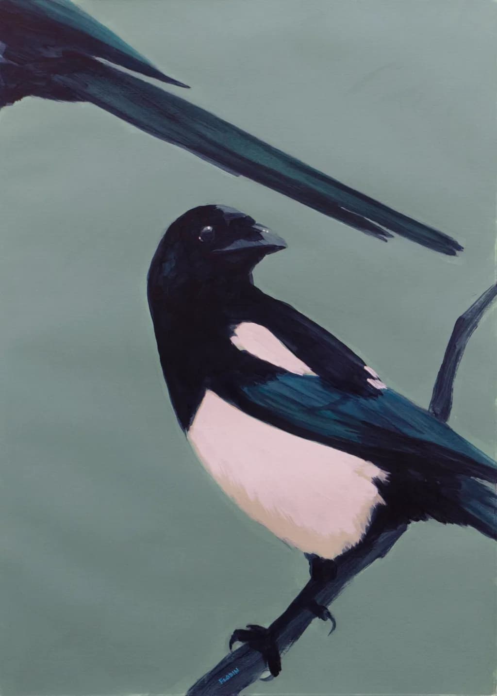 Magpie 2