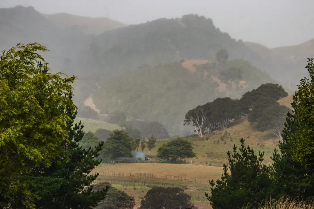Whispers of the Mist: A Serene Landscape Embraced by Nature's Veil