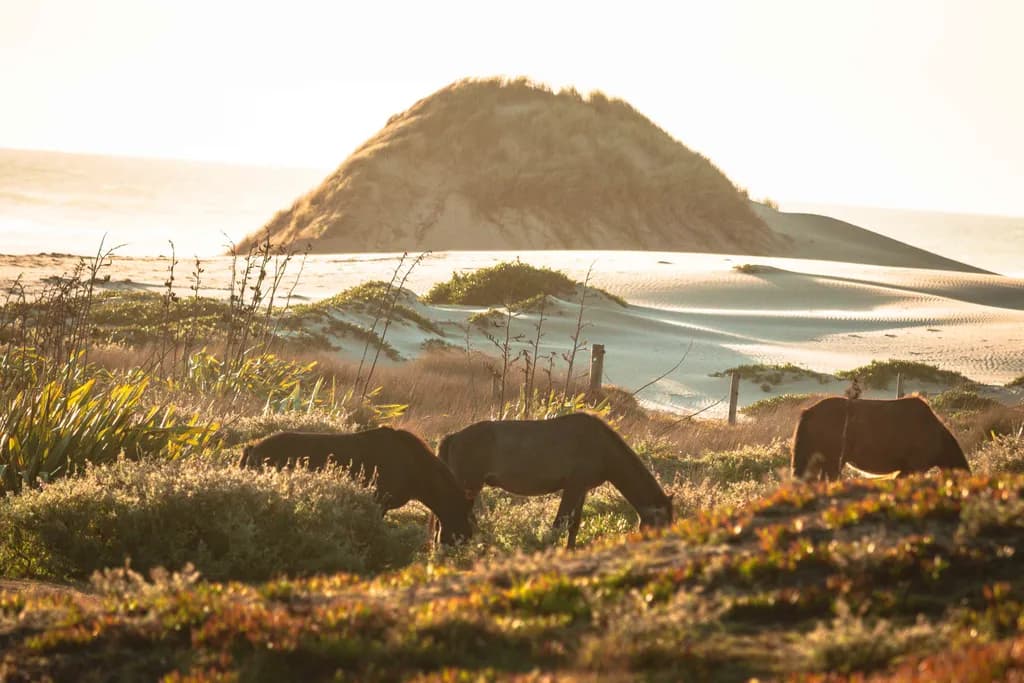 Whispers of the Dunes: Horses Grazing in Golden Light