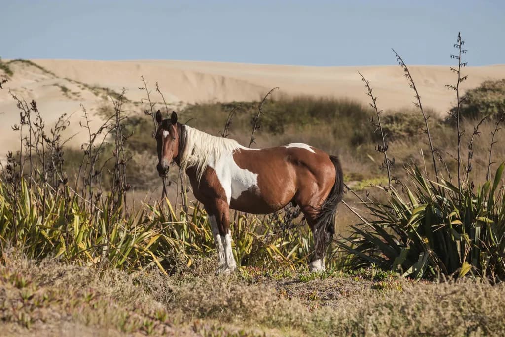Whispers of the Wild: A Majestic Horse Amidst Nature's Embrace