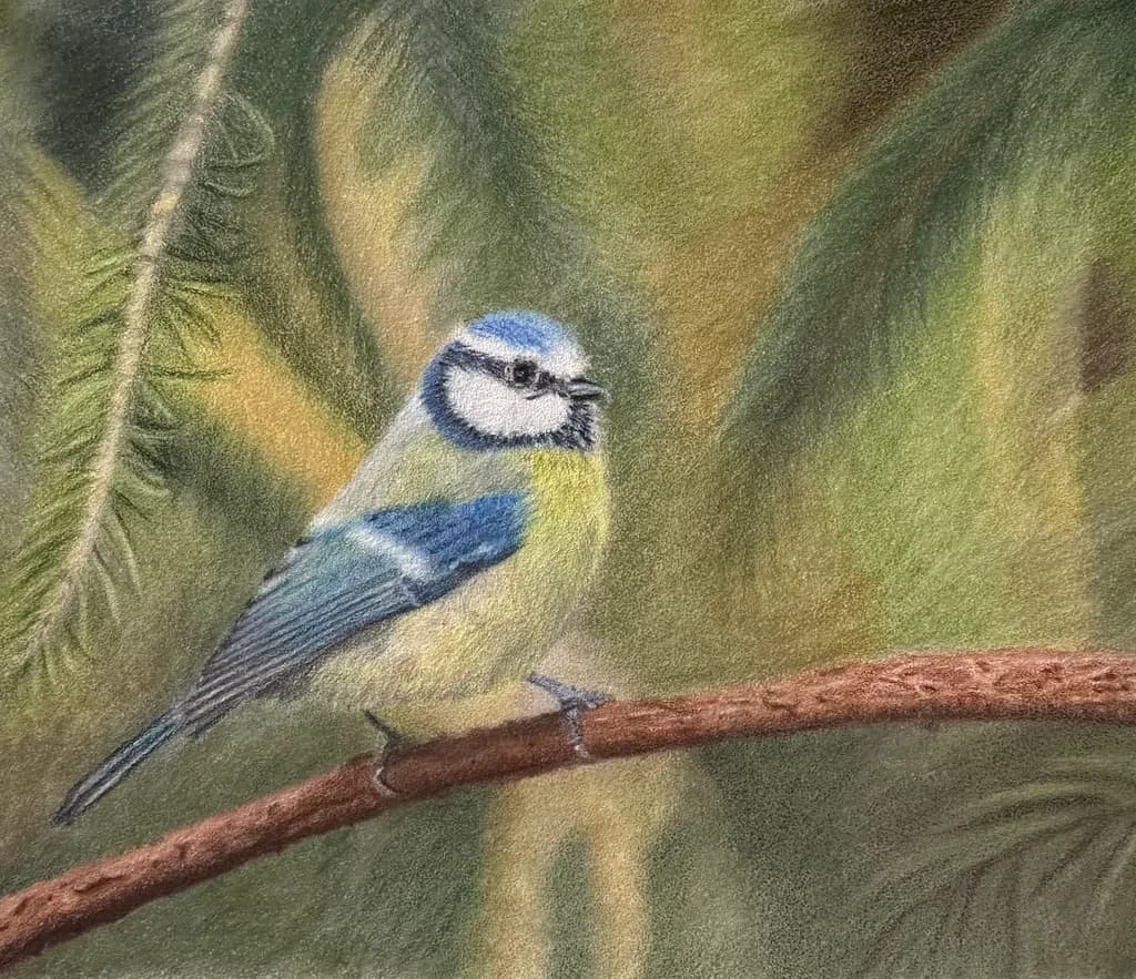 Whispers of Nature: A Blue Tit's Serenade on a Sunlit Branch