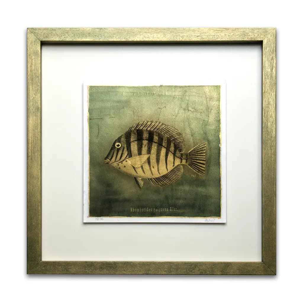 Whimsical Waves: The Striped Fish That Swam into My Heart