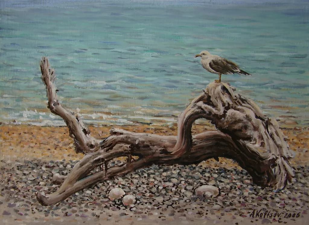 Seaside Sentinel