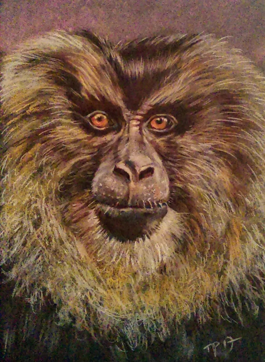 Majestic Gaze: The Enigmatic Portrait of a Primate