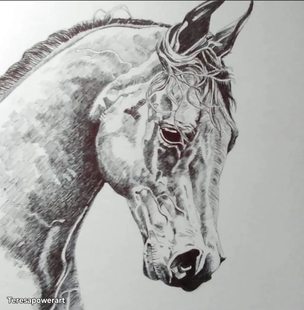 Majestic Equine Gaze: A Detailed Study of Horse Portraiture in Ink