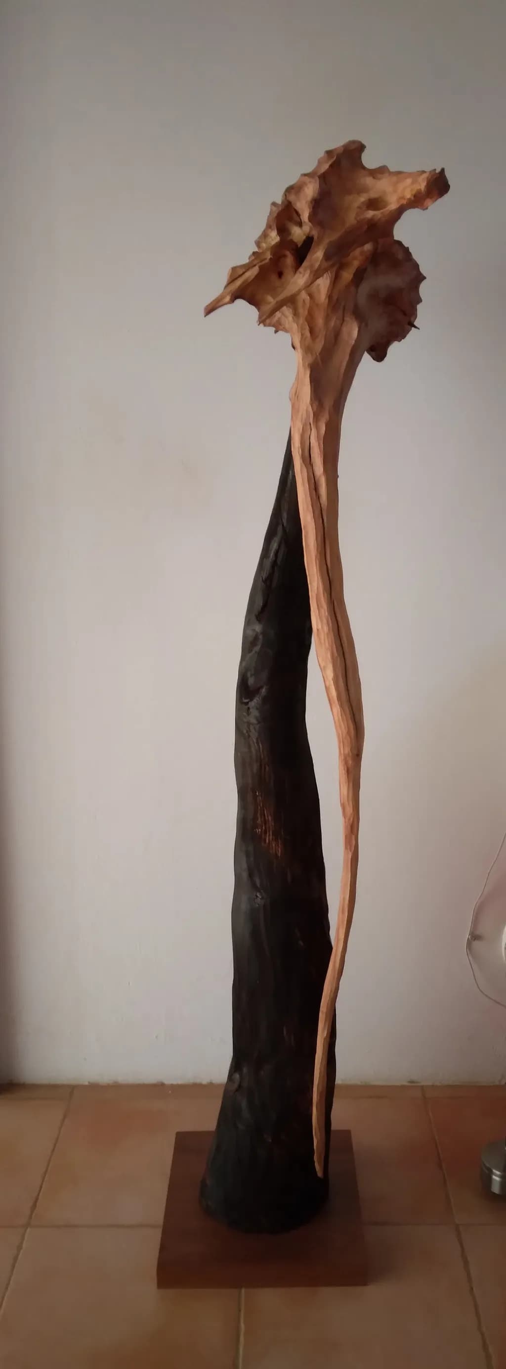 Whispers of Nature: A Sculptural Journey Through Wood and Form