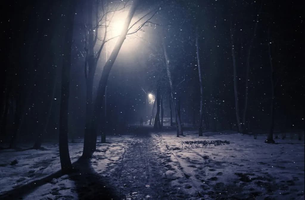 Moonlit Snowfall