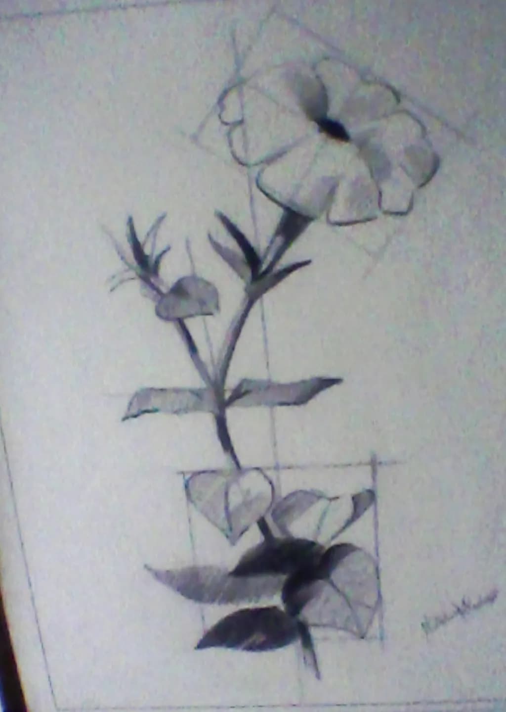 Whispers of Nature: A Delicate Dance of Petals and Leaves