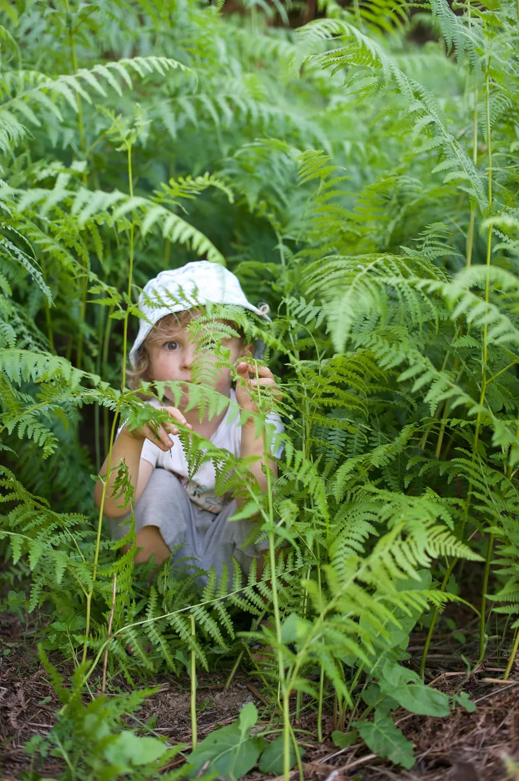 Fern Hideaway