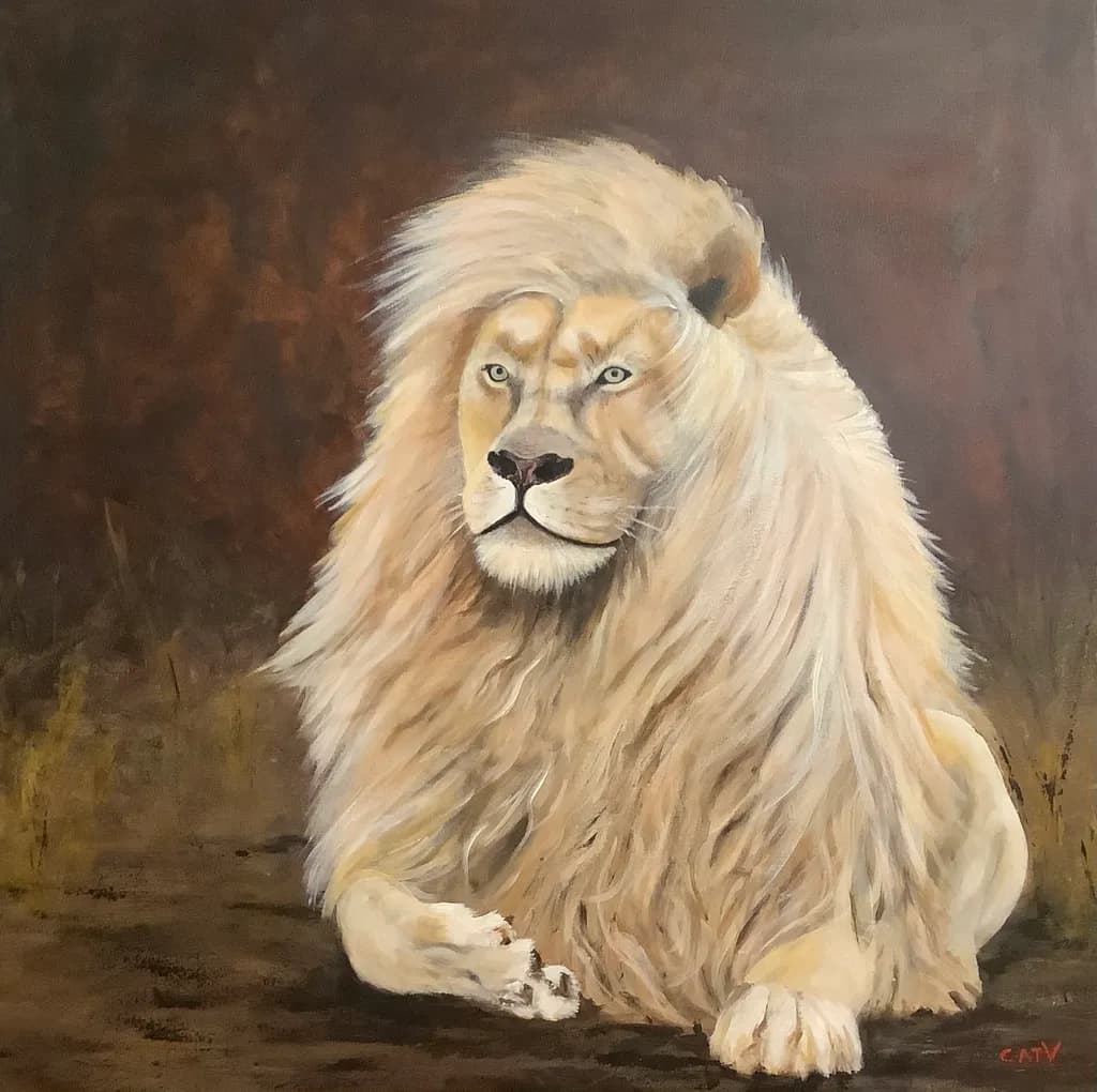 Majestic Lion Resting