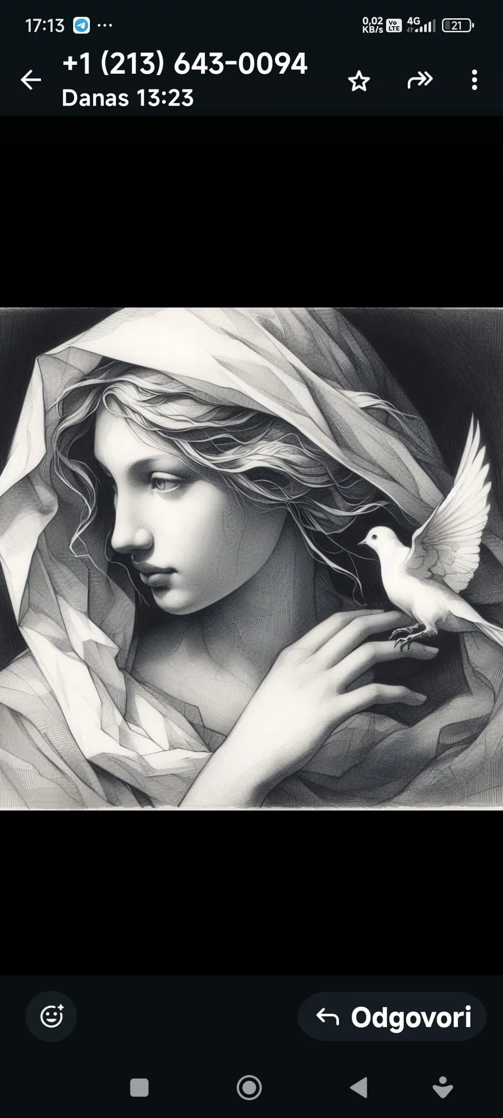 Silent Dove