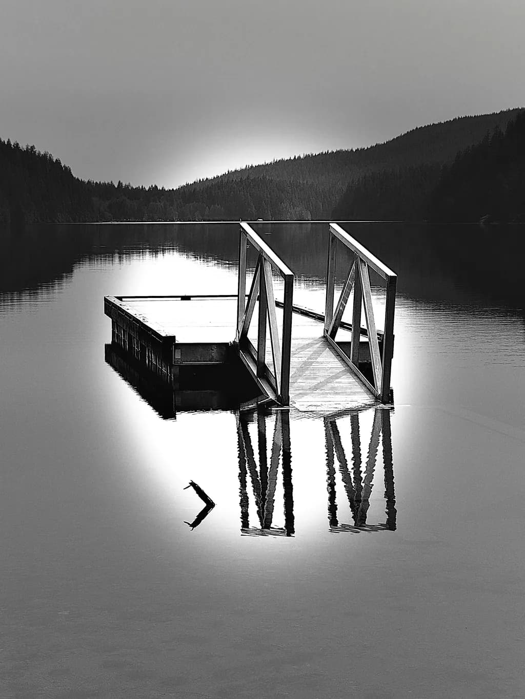 Silent Dock Reflection