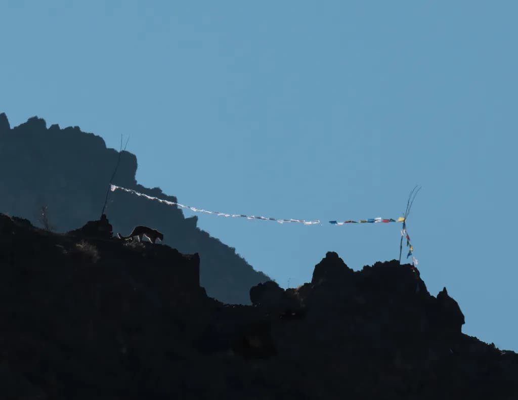 Mountain Silhouette