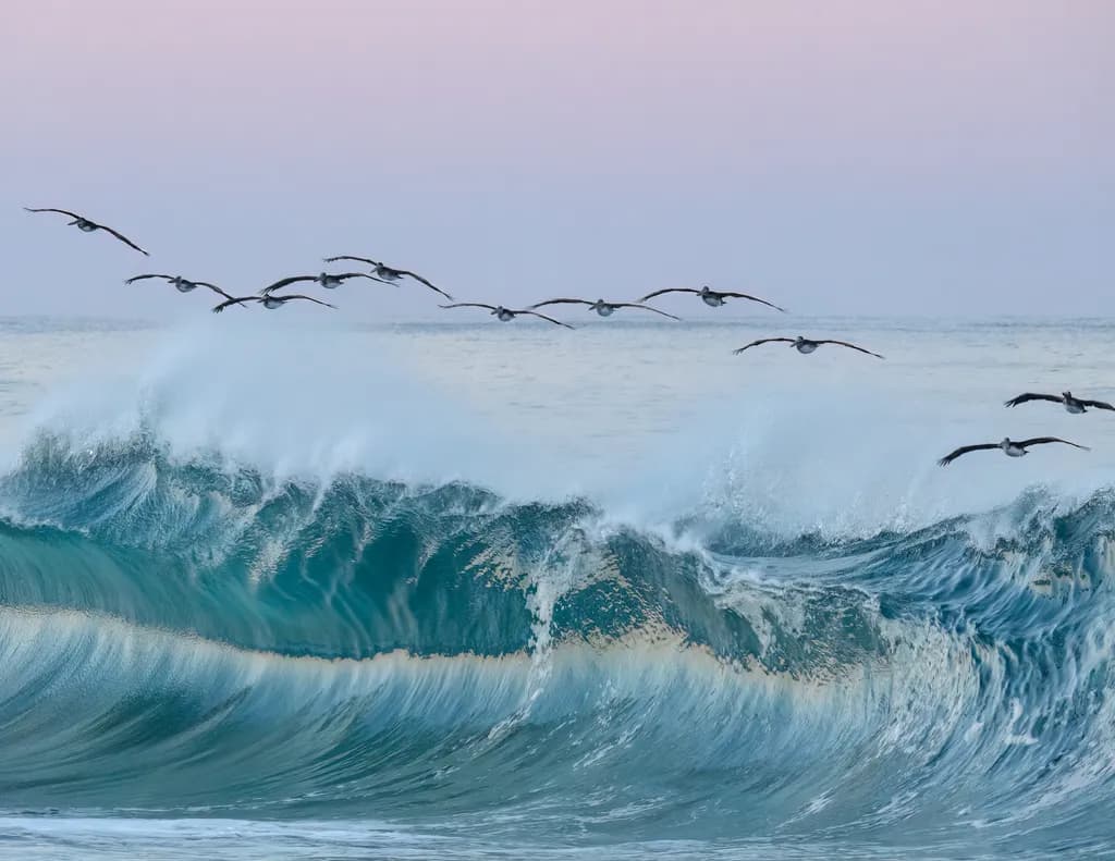 Ocean's Dance