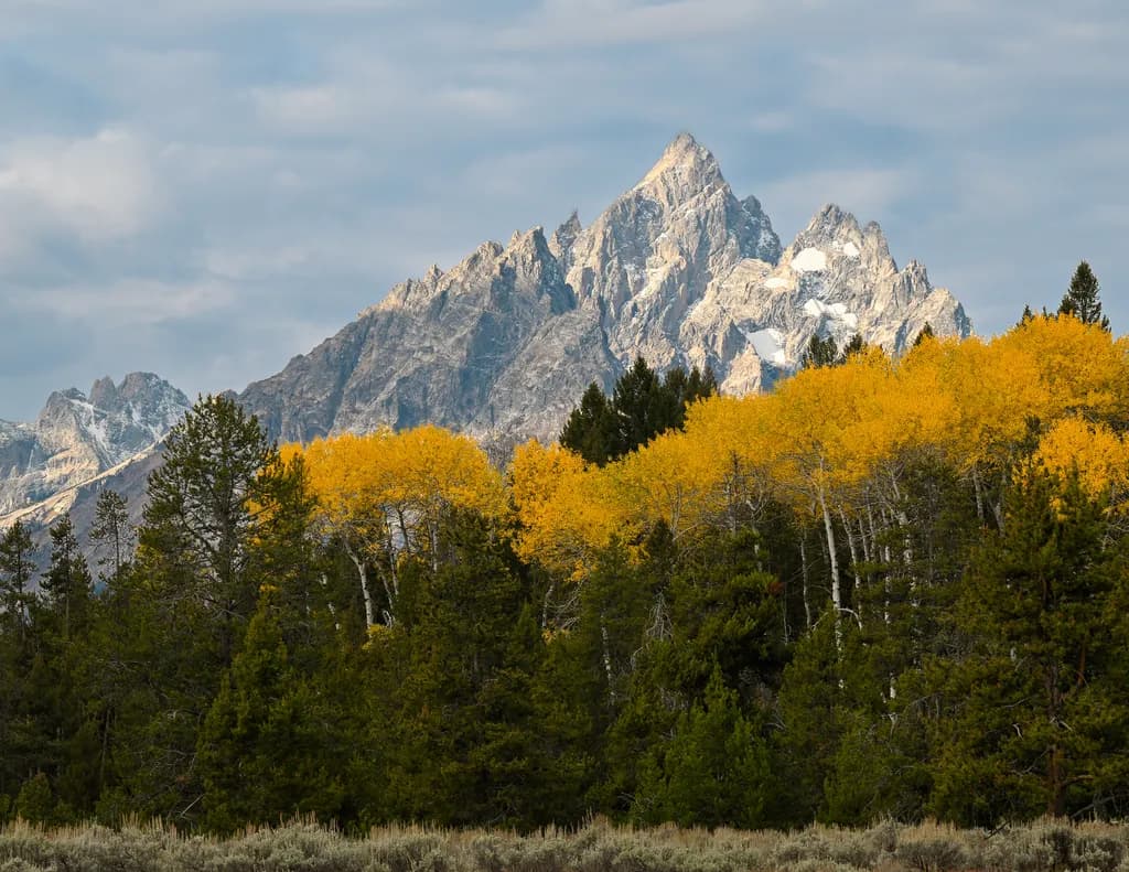 A Tapestry of Autumn