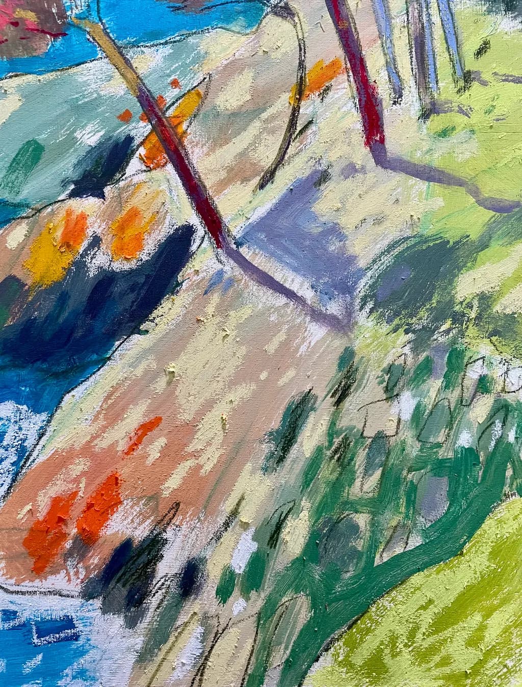 Punta Negra close up