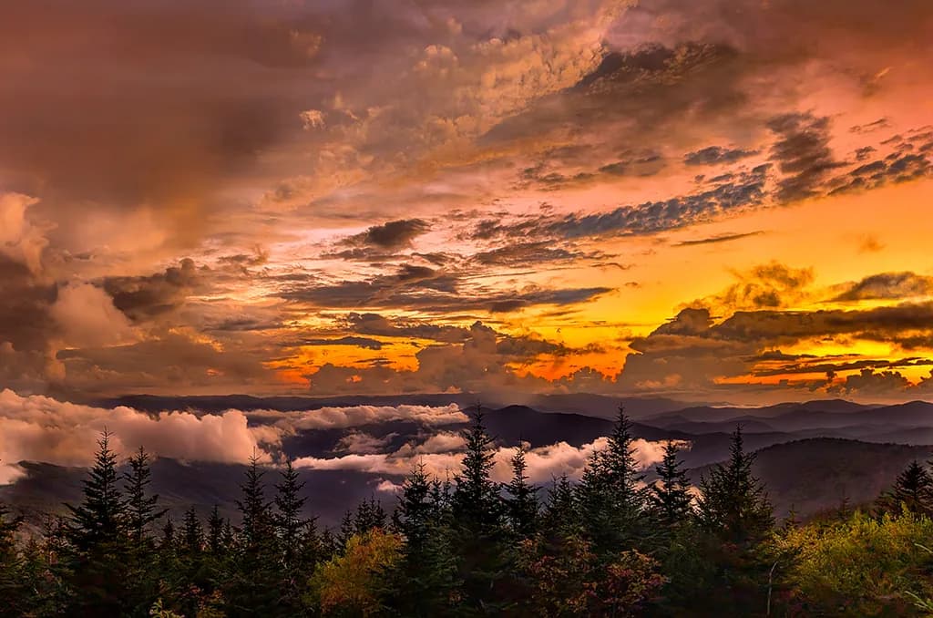 God's Brushstrokes