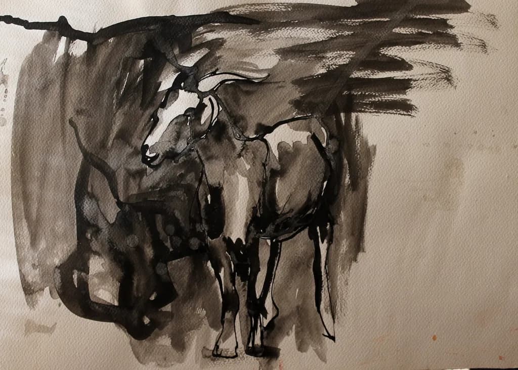 Whispers of the Wild: A Monochrome Journey with Nature's Spirit