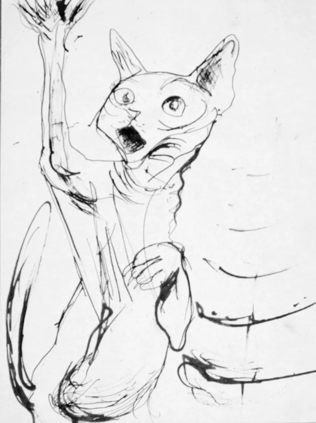 Whimsical Whiskers: The Surreal Expression of a Cat's Curiosity