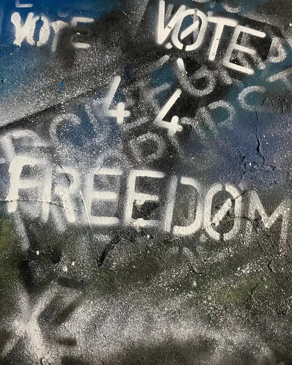 Freedom Vote