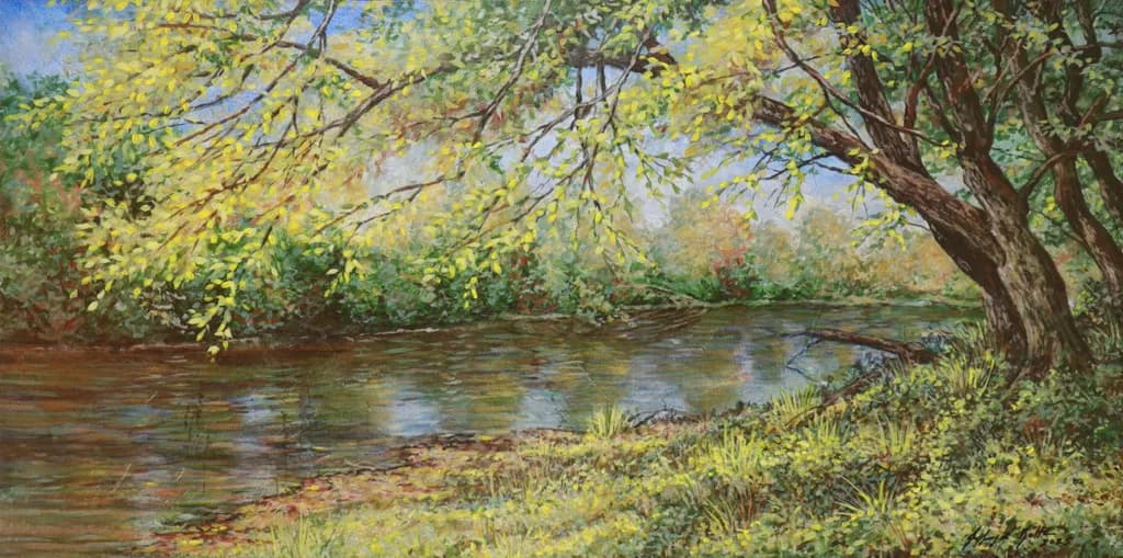 Sunlit Riverbank Trees