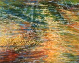 Ripples of Autumn Light