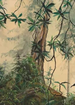 Forest Mist