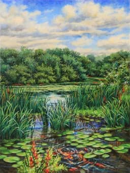Nature’s Koi Pond