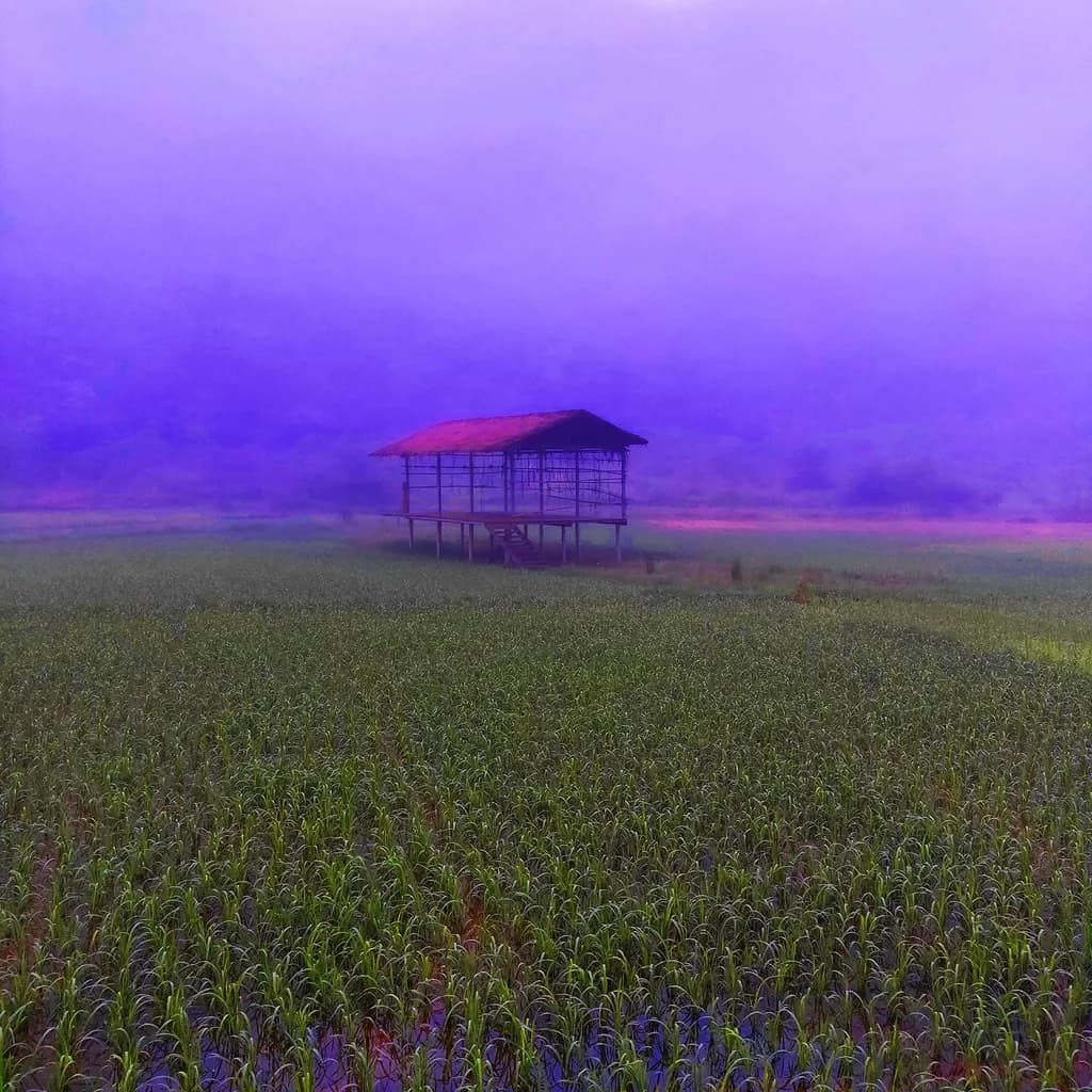 Whispers of Solitude: A Dreamlike Abode in the Misty Fields