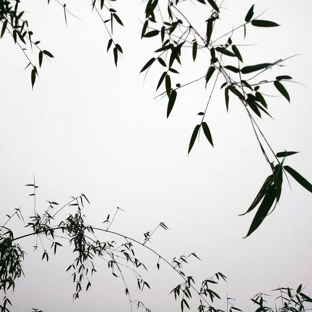 Whispers of Bamboo: A Dialogue Between Nature and Abstraction