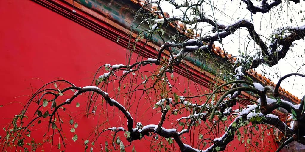 Whispers of Winter: The Silent Dialogue Between Nature and Color