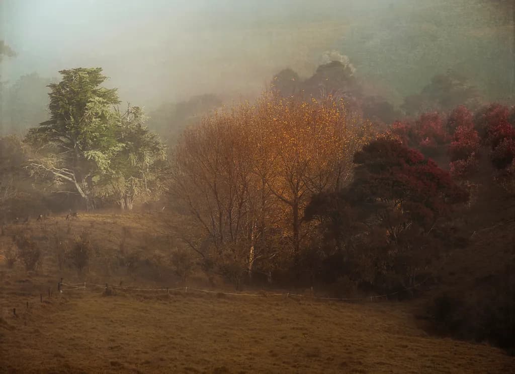 Whispers of Autumn: A Misty Embrace of Nature's Palette