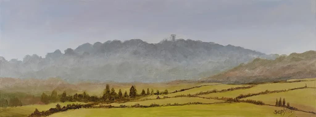 Horizon #5