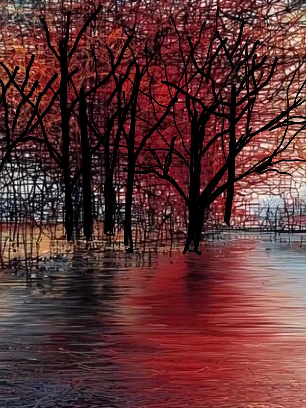 Autumn Reflections