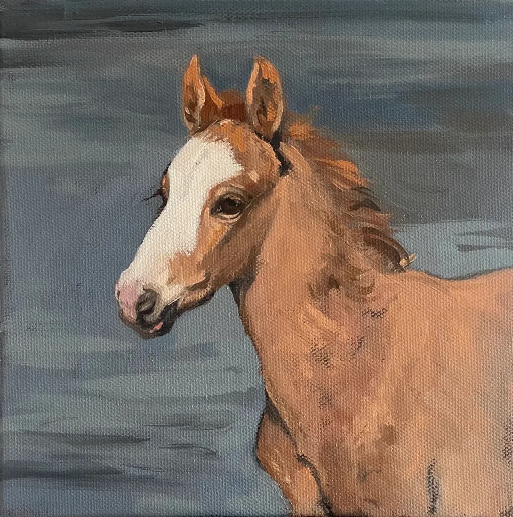 Young Foal Portrait