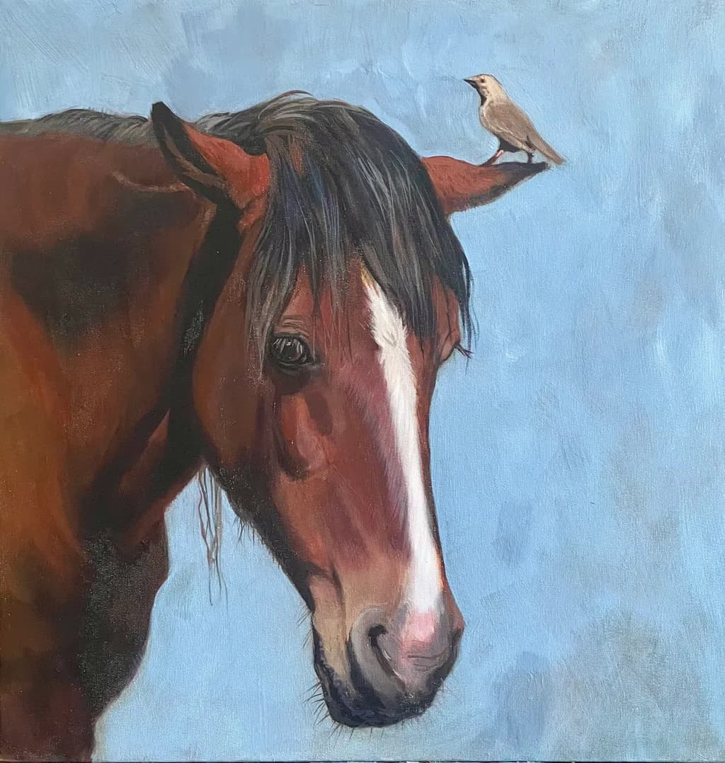 Horse and Bird Moment