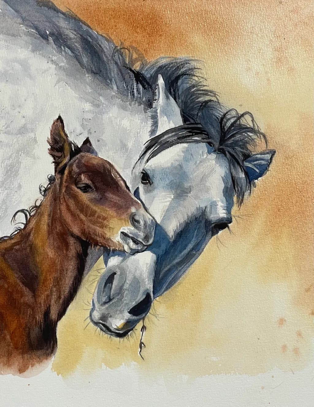 Horse and Foal Bond