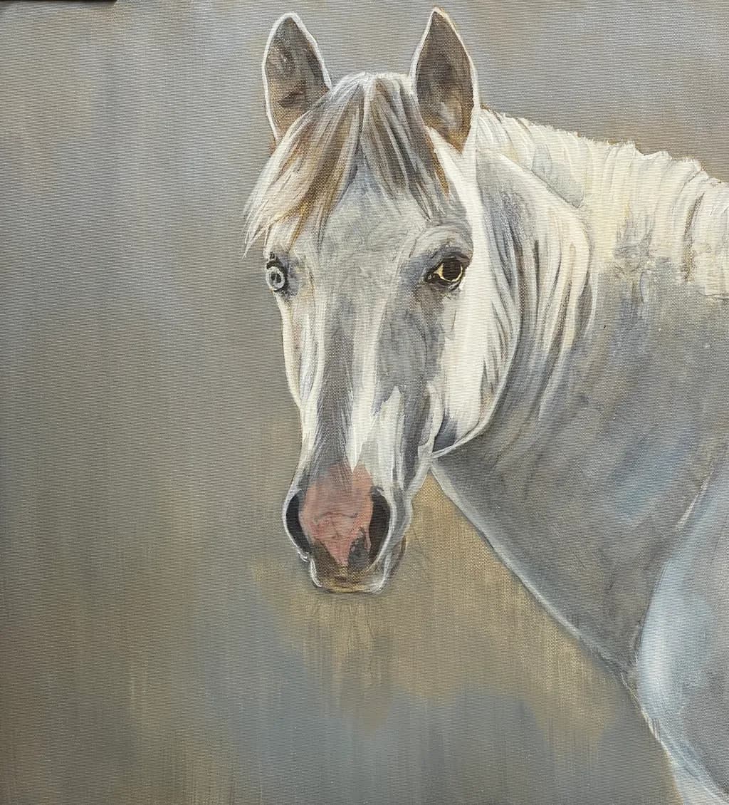 Gentle Gaze Horse