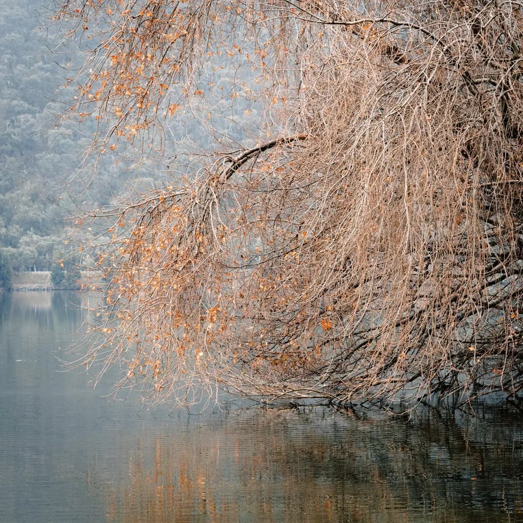 Autumn Reflections