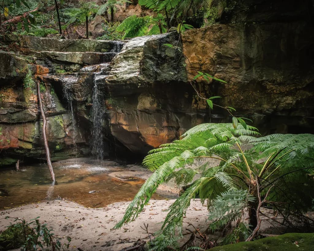 Forest Cascade