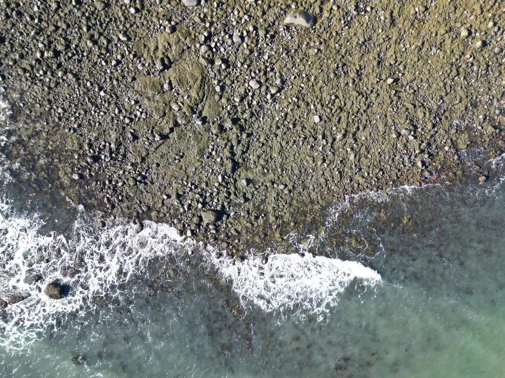 Coastal Stones