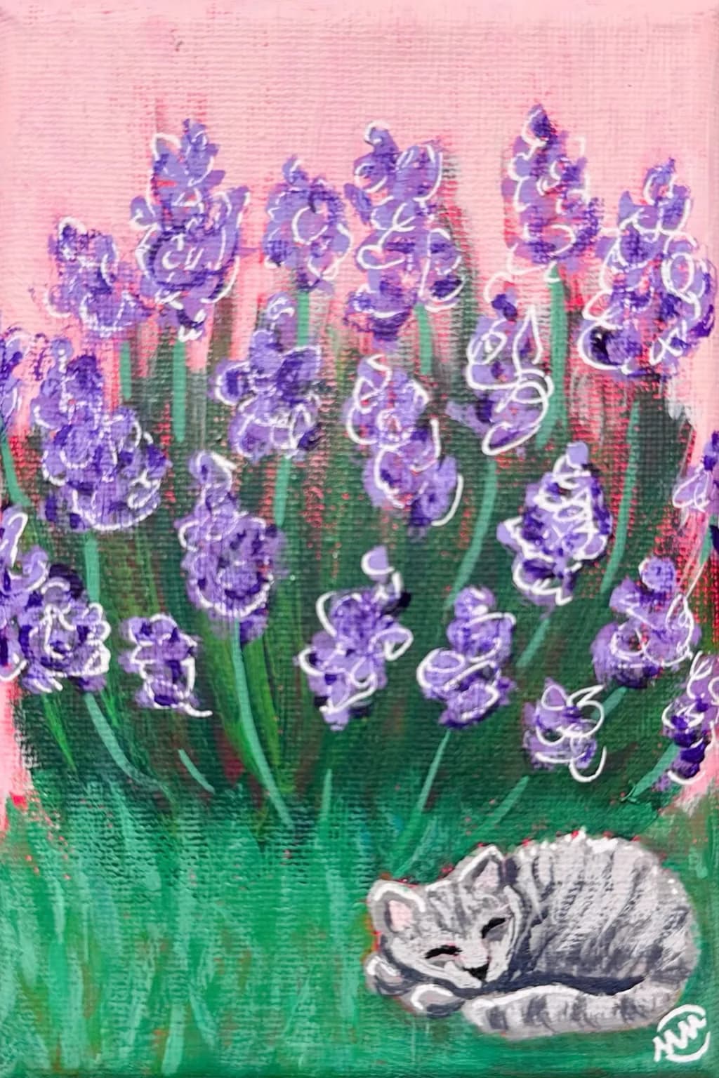 Lavender Dreams
