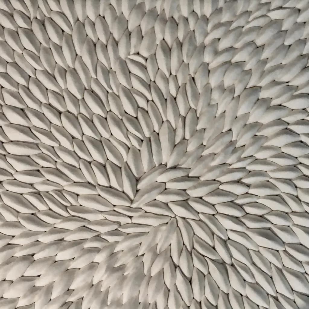 Whispers of Nature: A Textured Journey Through Organic Forms
