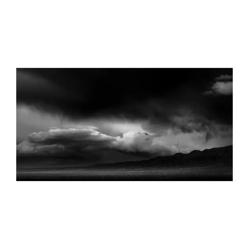 Whispers of the Storm: A Monochrome Journey Through Nature's Drama