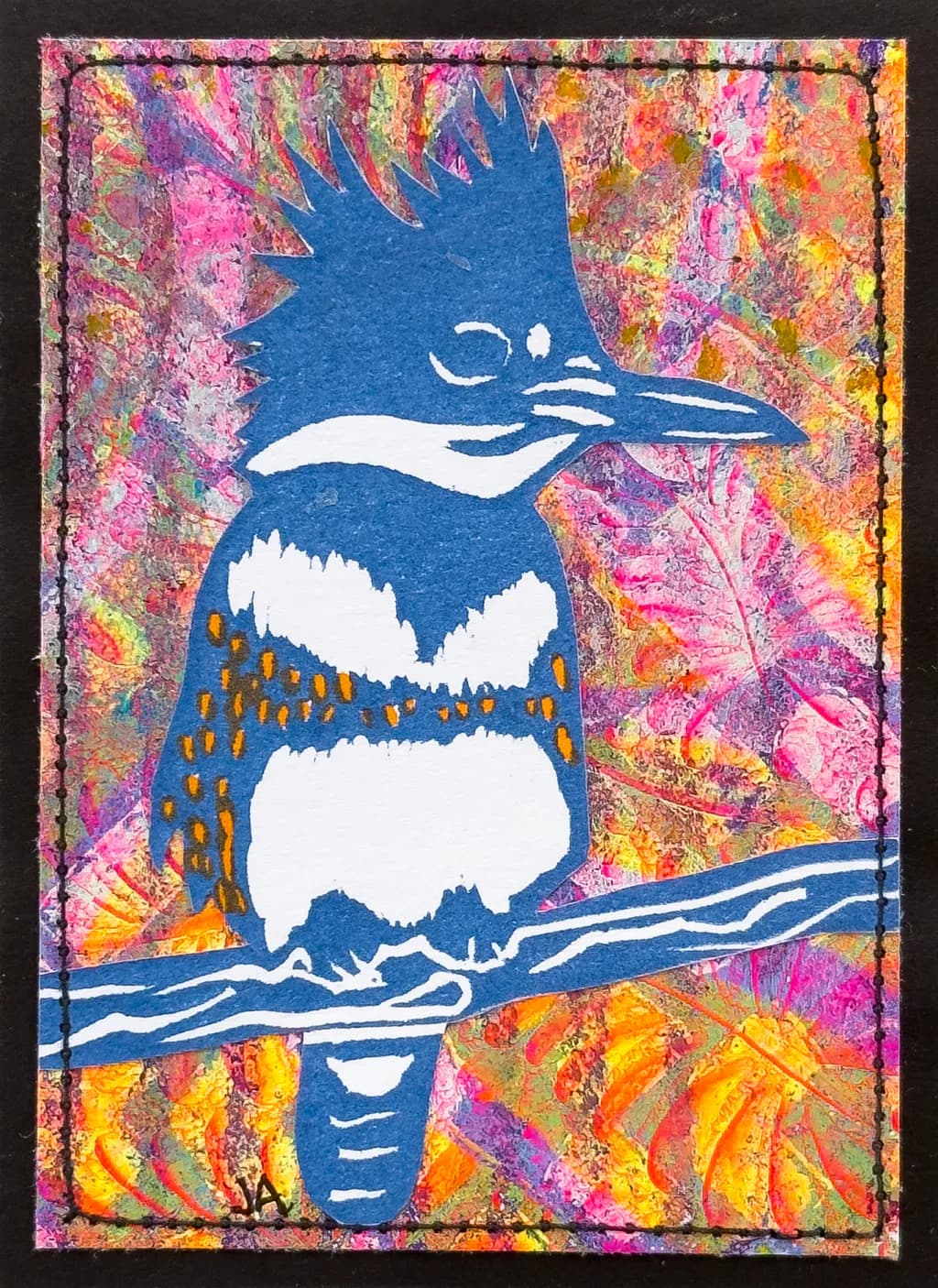 Belted Kingfisher