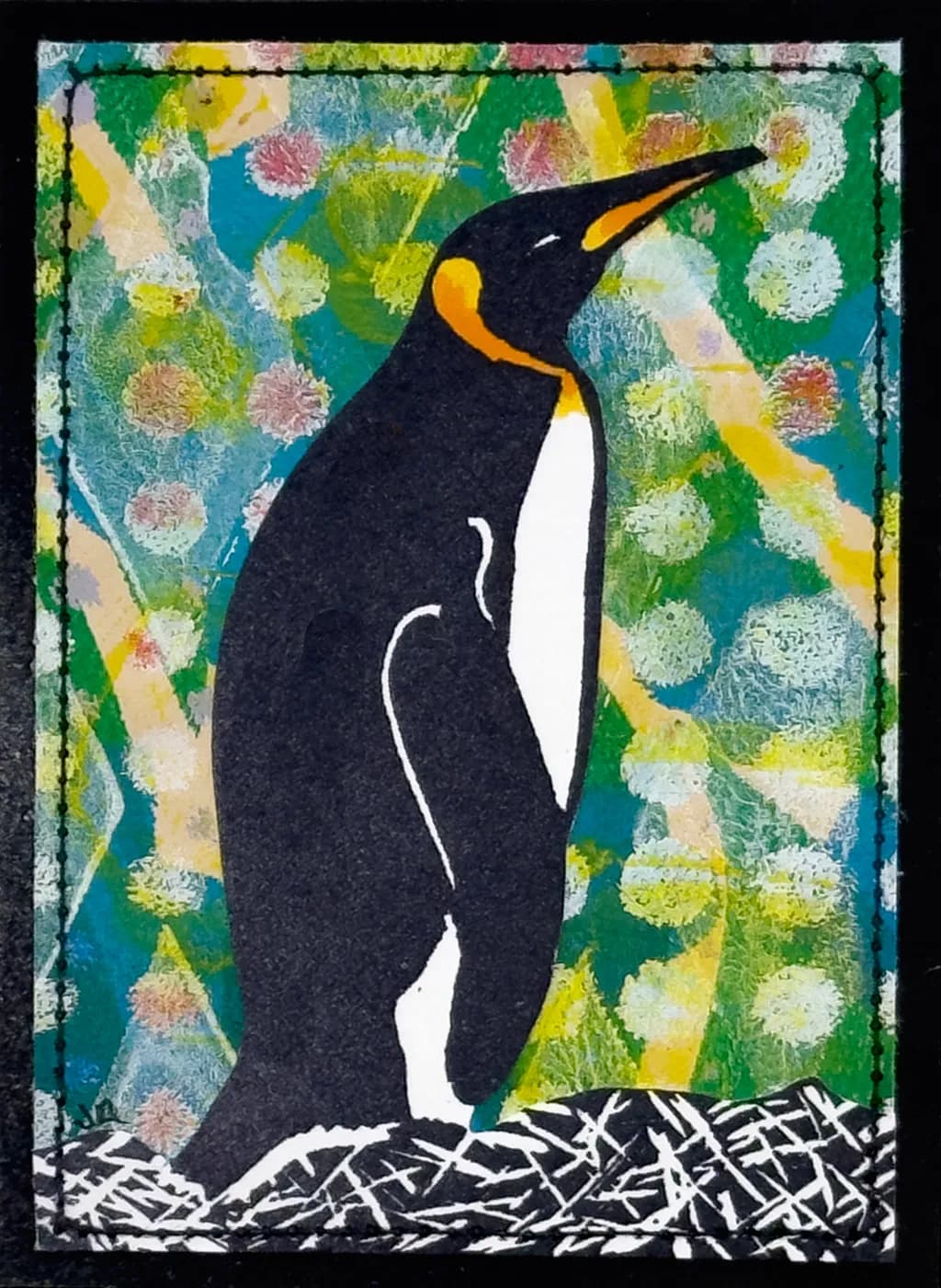 King Penguin