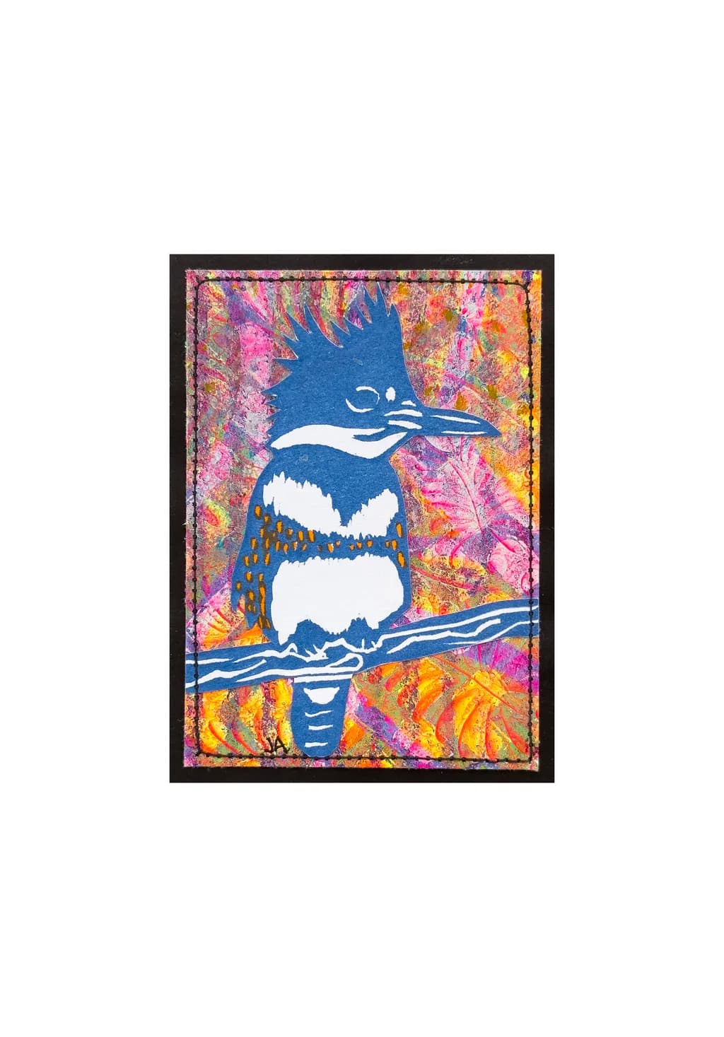 Belted Kingfisher